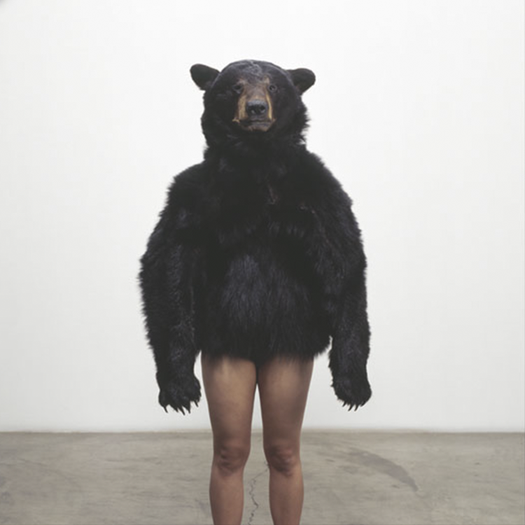 Carly Fernandes, 'Bear Studies'